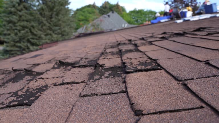 EPDM Roofing in Holley, FL