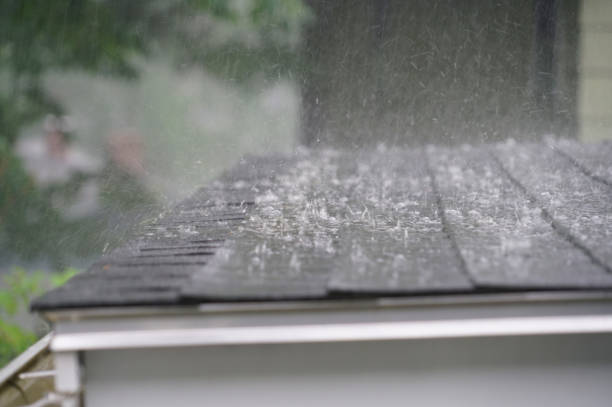 Best Slate Roofing  in Holley, FL