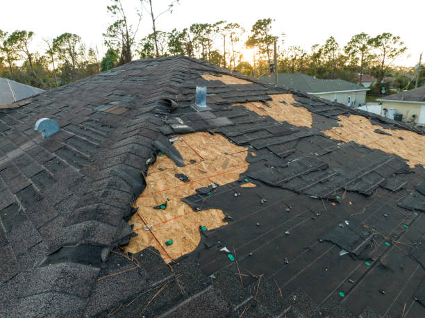 Best Chimney Flashing Repair  in Holley, FL