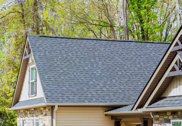 Siding in Holley, FL